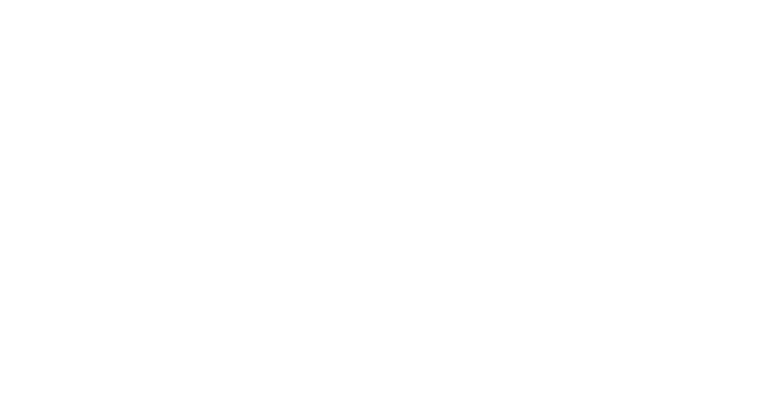 logo Lindira Agency